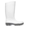 Botas de agua de Seguridad Exena Boots Tsunami S4 CI SRC